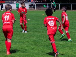 Hillen Cup 2024